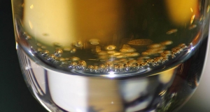 Maecenas elit rhoncus